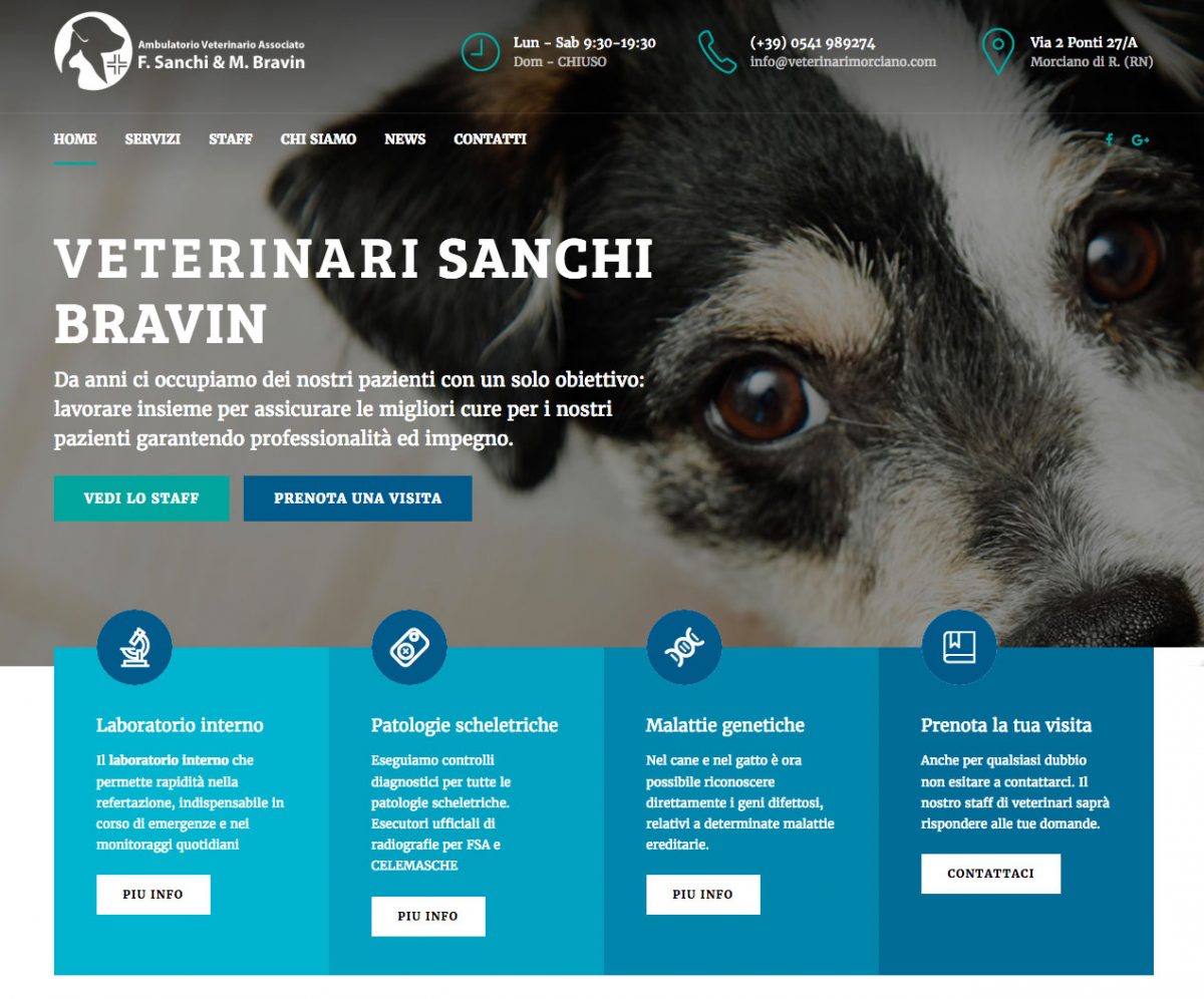 nuovo-sito-studio-ambulatorio-veterinario-sanchi-bravin-morciano-rimini-cattolica-san-giovanni-1200x996.jpg